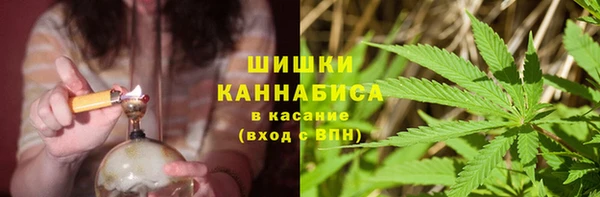 стаф Баксан