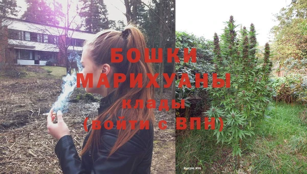 гашик Осинники