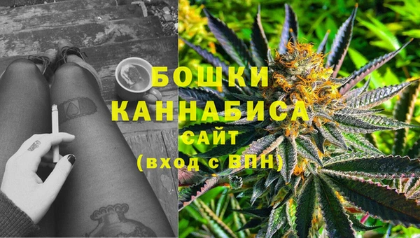 стаф Баксан
