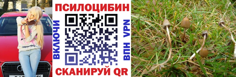 площадка Telegram  Нязепетровск  Псилоцибиновые грибы Cubensis 